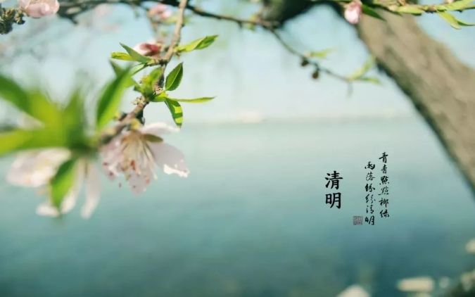 清明 || 雨紛紛，思故人