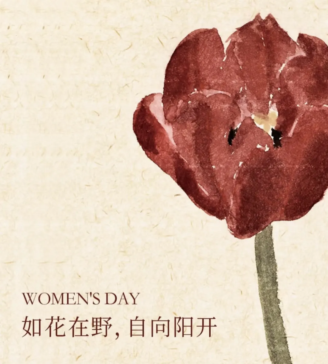 3·8女神節(jié)丨 南北特糕點(diǎn)，獻(xiàn)給每一位甜蜜女神