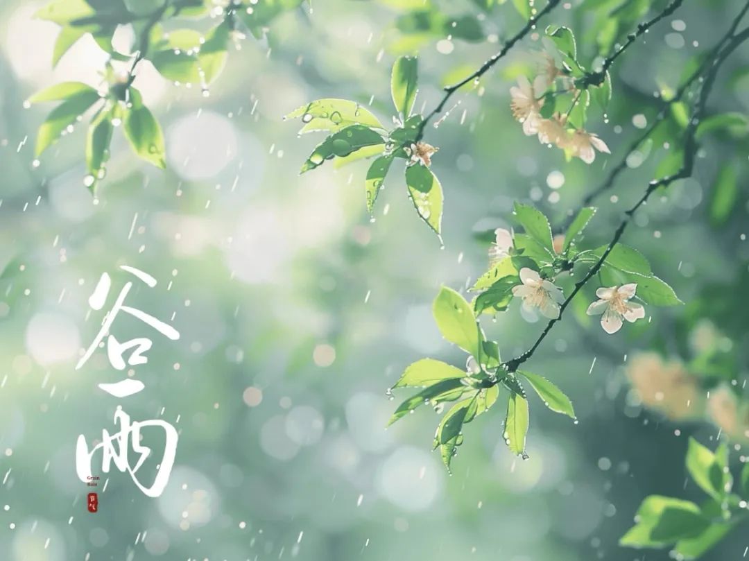 谷雨潤(rùn)萬(wàn)物，酥香寄深情